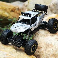 4WD Large Remote Control Car Doba