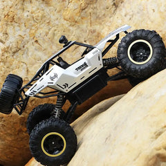 4WD Large Remote Control Car Doba