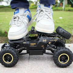 4WD Large Remote Control Car Doba