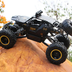 4WD Large Remote Control Car Doba