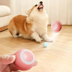 Electric Dog Toys Smart Puppy Ball Toys For Cat Small Dogs Funny Auto Rolling Ball Self-moving Puppy Games Toys Pet Accessories Buyers Bargain Club