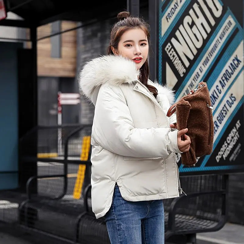 New Arrival Women's Down Winter Jacket Doba