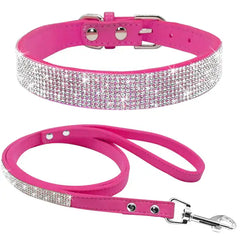Pet Collar Zendrop
