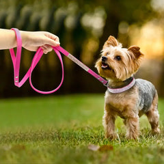 Pet Collar Zendrop