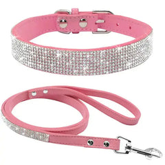 Pet Collar Zendrop