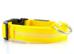 Pet Led Collar Zendrop