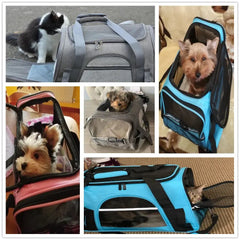 Pet Messenger Carrier Travel Bag Buyers Bargain Club