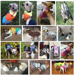 Warm Pet Jackets Buyers Bargain Club